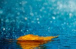 beautiful-rain-pictures-45-photos-36