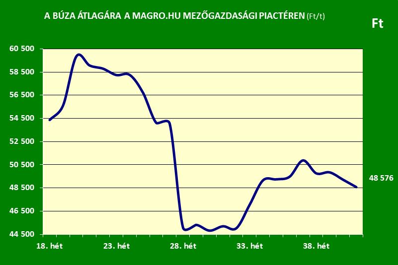 Magro_buza grafikon