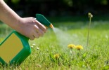 herbicides_lawn