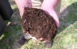 1280px-compost-dirt1