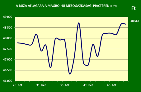 magrodec7buza