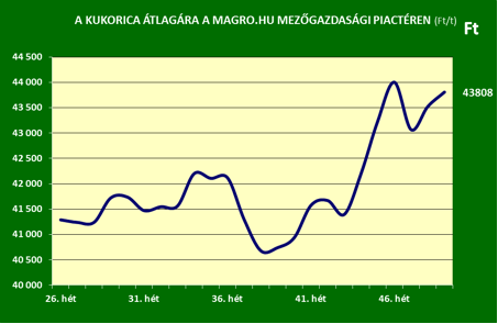 magrodec7kukorica