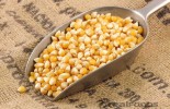Organic Popping Corn from Real Foods