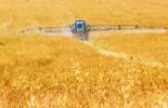 tractor_field_spray_207061