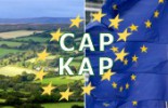 kap_eu_2014_xl