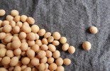 soybeans-182295_1920