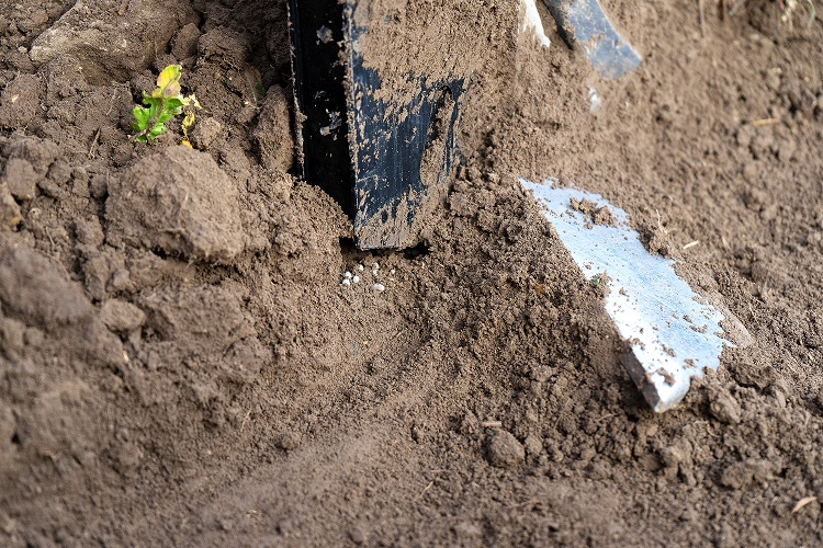 Fertilising and tillage in one pass