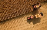 Aerial view of combine harvesting corn.