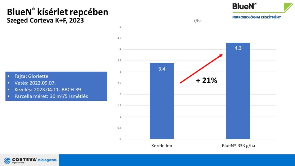 Corteva_Agriscience_BlueN_trial_rapeseed_Szeged_2023_yield