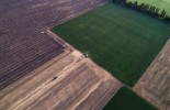 Syngenta Interra Scan (3)