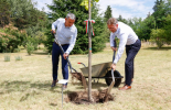 Képernyőkép 2025-07-14 120510