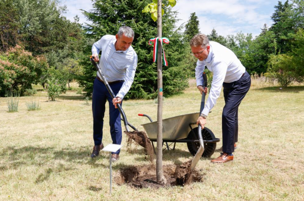 Képernyőkép 2025-07-14 120510
