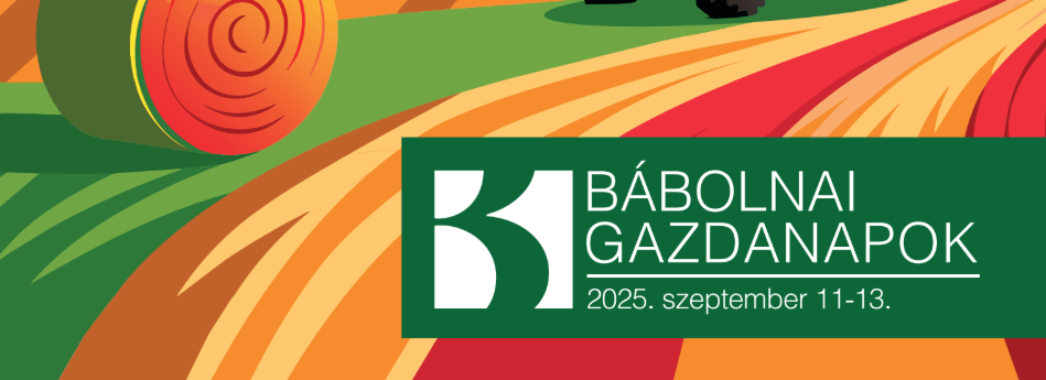 Képernyőkép 2025-08-05 163926