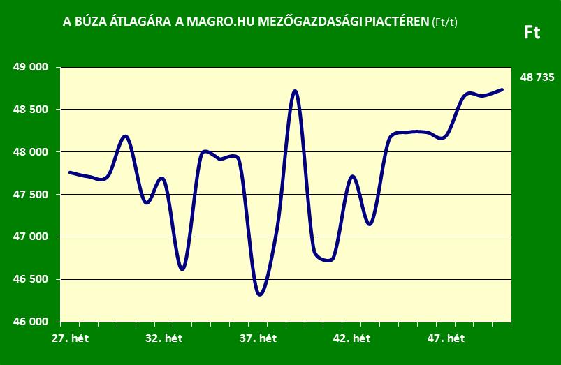 Magro.hu_búza ára_50. hét